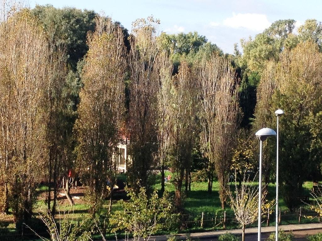 Regina Apartments Алгеро Стая снимка
